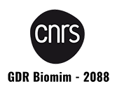 logo GDR Biomim